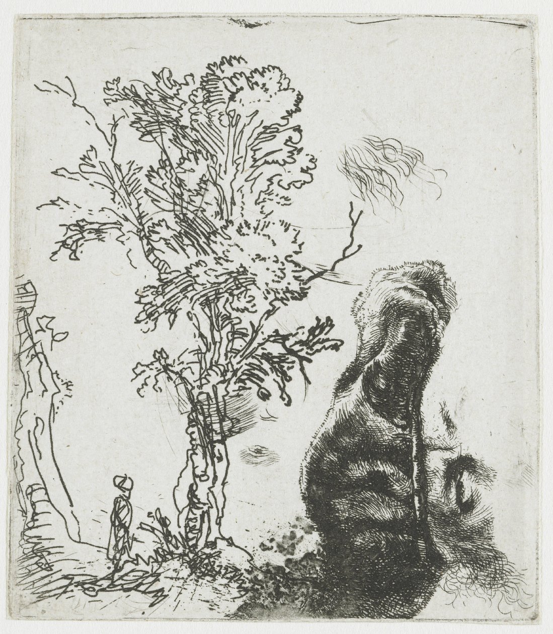 Skiss med ett träd och den övre delen av Rembrandts huvud med basker av Rembrandt van Rijn