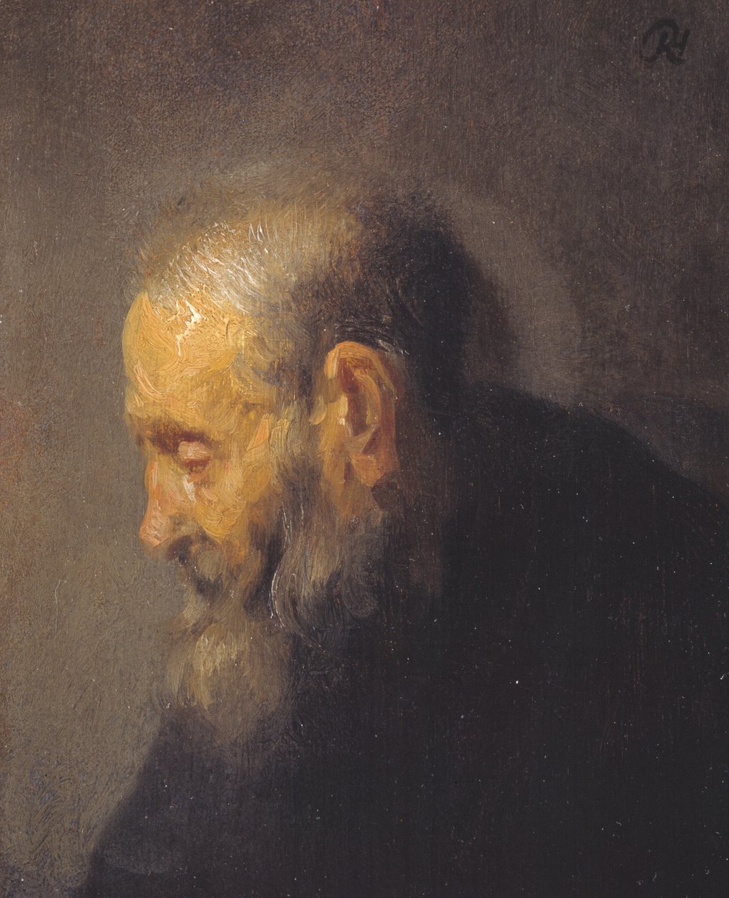 Studie av en gammal man i profil av Rembrandt van Rijn