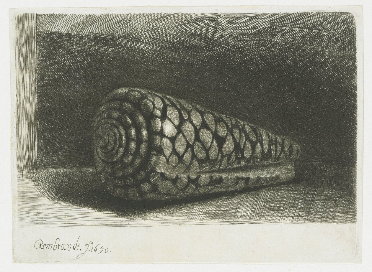 Skalet av Rembrandt van Rijn