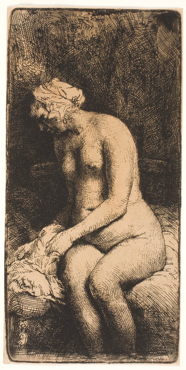 swedish av Rembrandt van Rijn
