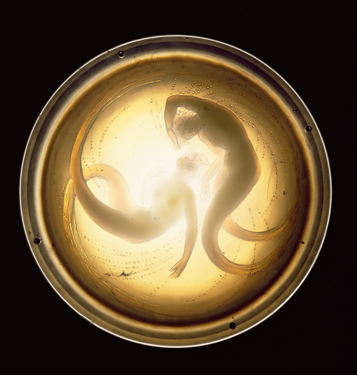 Deux Sirenes taklampa (glas) av Rene Jules Lalique
