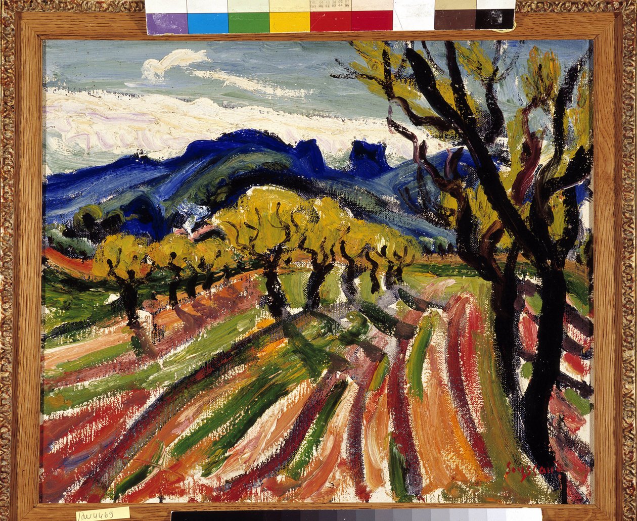 Fält med olivträd i Alpilles (olja på duk) av Rene Auguste Seyssaud