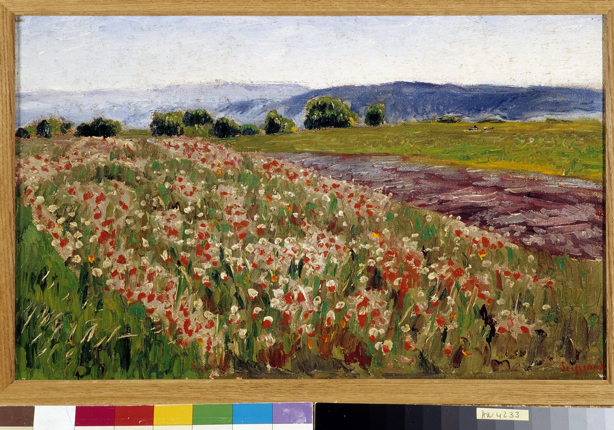 Vallmofältet (målning) av Rene Auguste Seyssaud