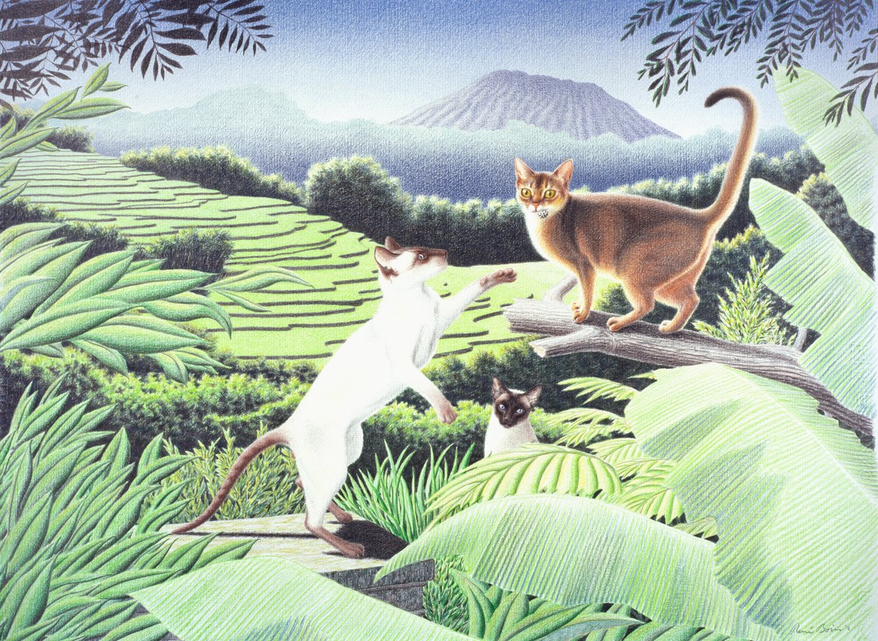 Bali, 2002, teckning med färgpenna på papper av Rene Boin