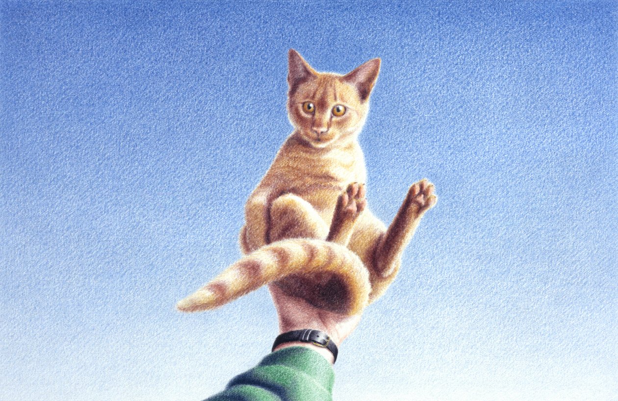 Handfull av Rene Boin
