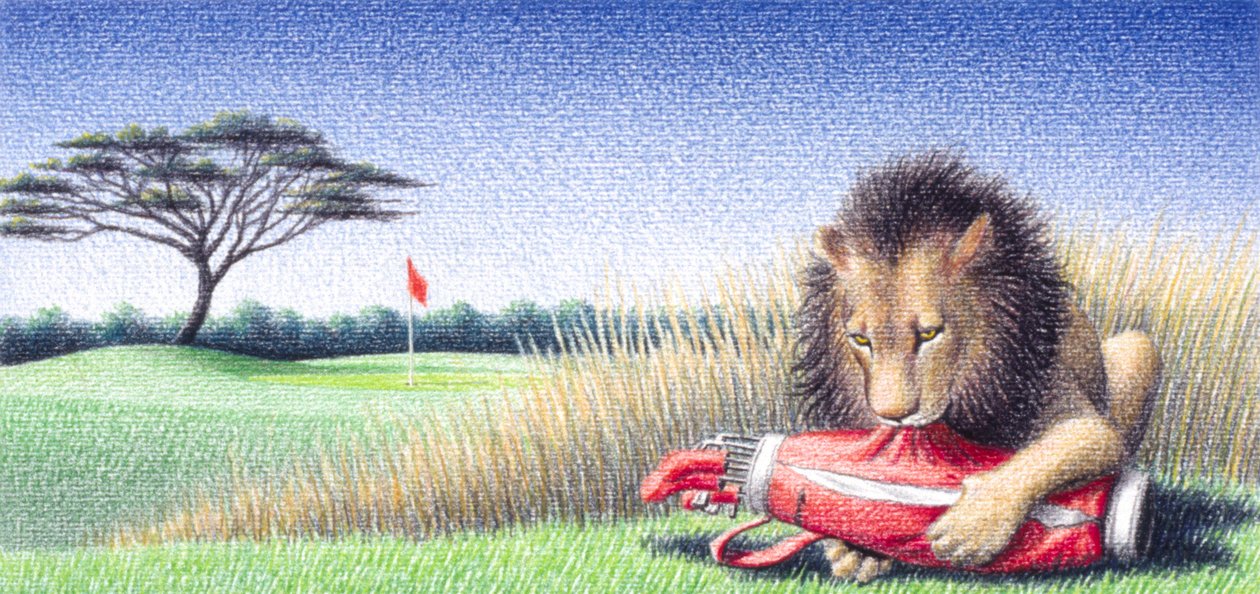 Lion 2 av Rene Boin