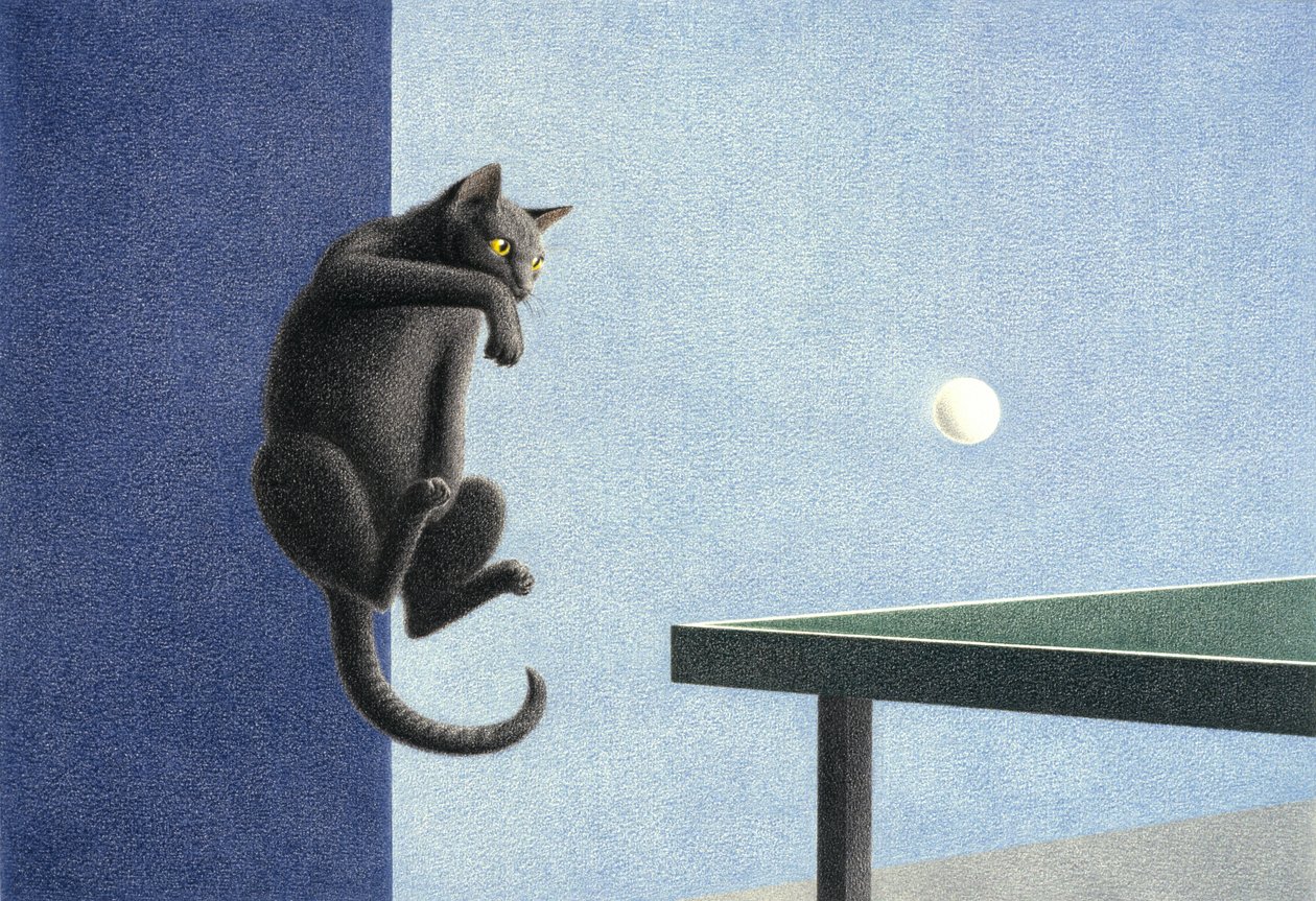 Ping pong av Rene Boin