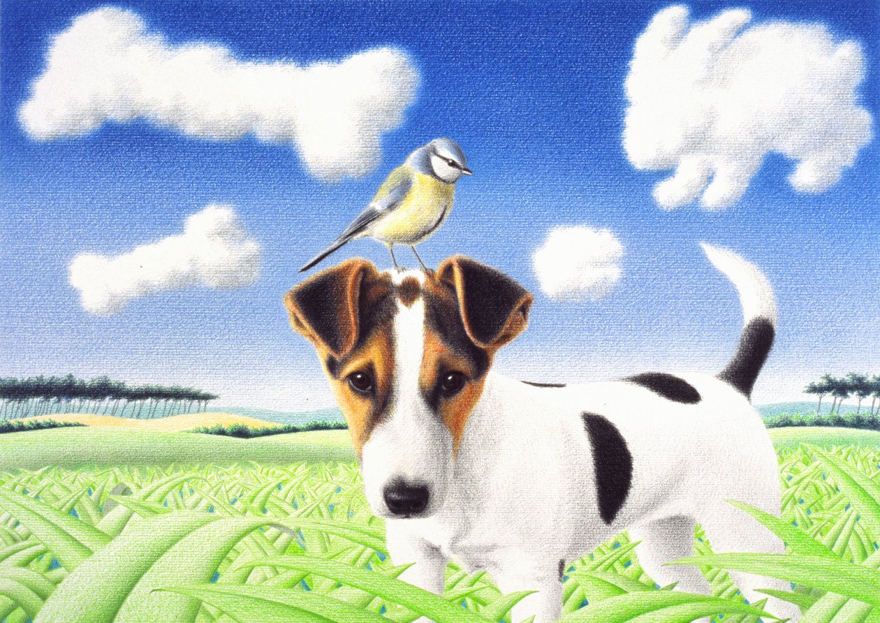 Thoughts, 2004, teckning med färgpenna på papper av Rene Boin