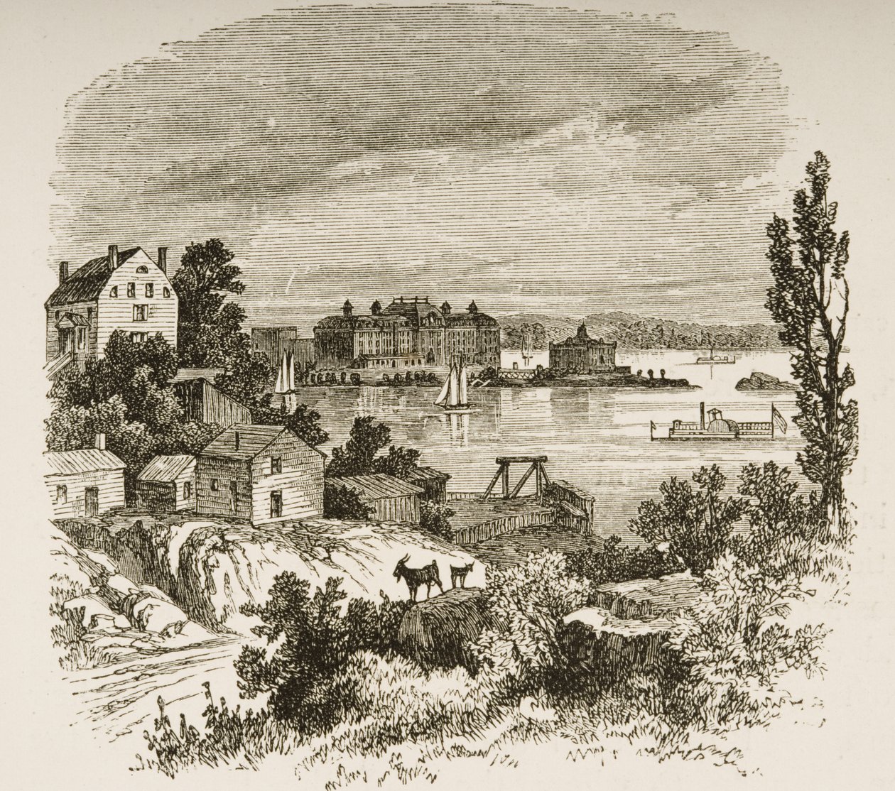 Turtle Bay och Blackwells Island, New York, ca 1880 av Reverend Samuel Manning