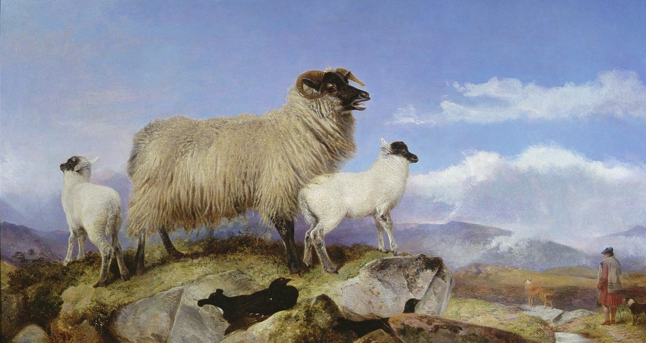 Tacka och lamm av Richard Ansdell