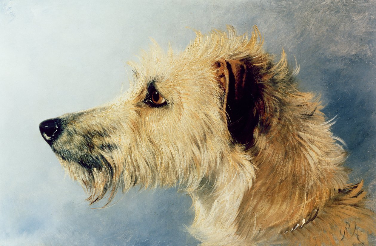 Huvudet på en hund av Richard Ansdell