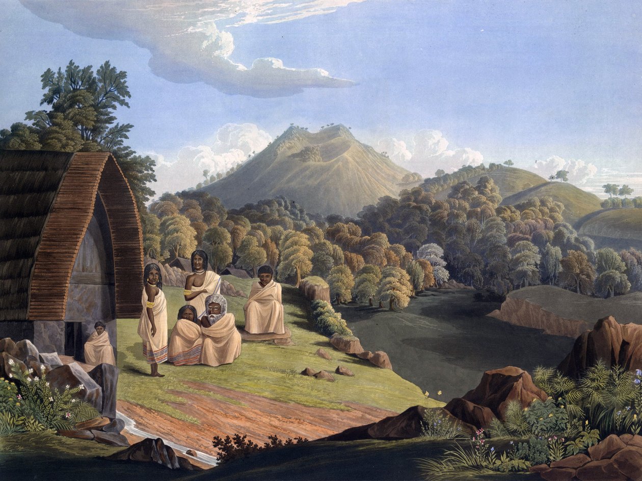 Plate 5 from Richard Barron