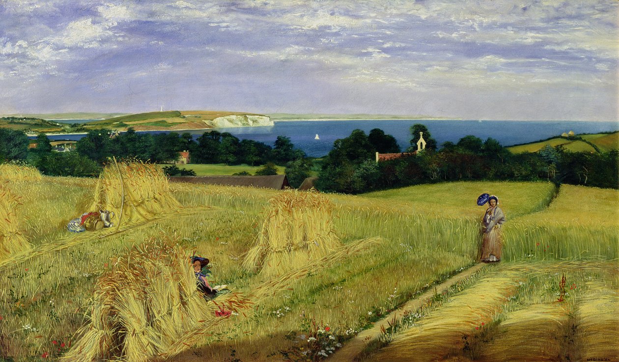 Majsfält på Isle of Wight av Richard Burchett