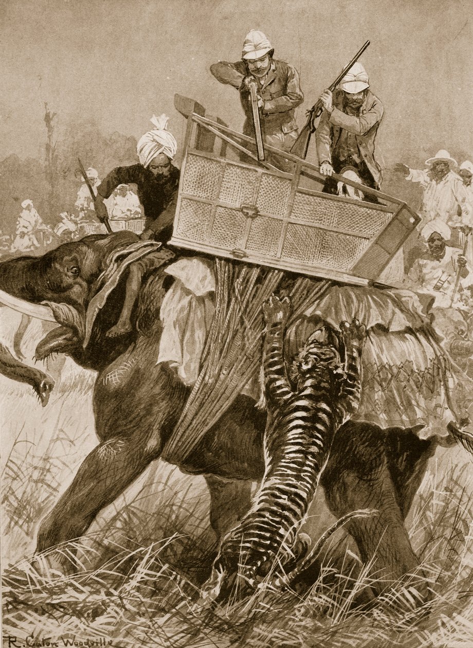 Prinsen av Wales besök i Indien, 1876: Prinsens elefant laddad av en tiger i Nepaul Terai, 21 februari från "The Illustrated London News", 1901 av Richard Caton Woodville