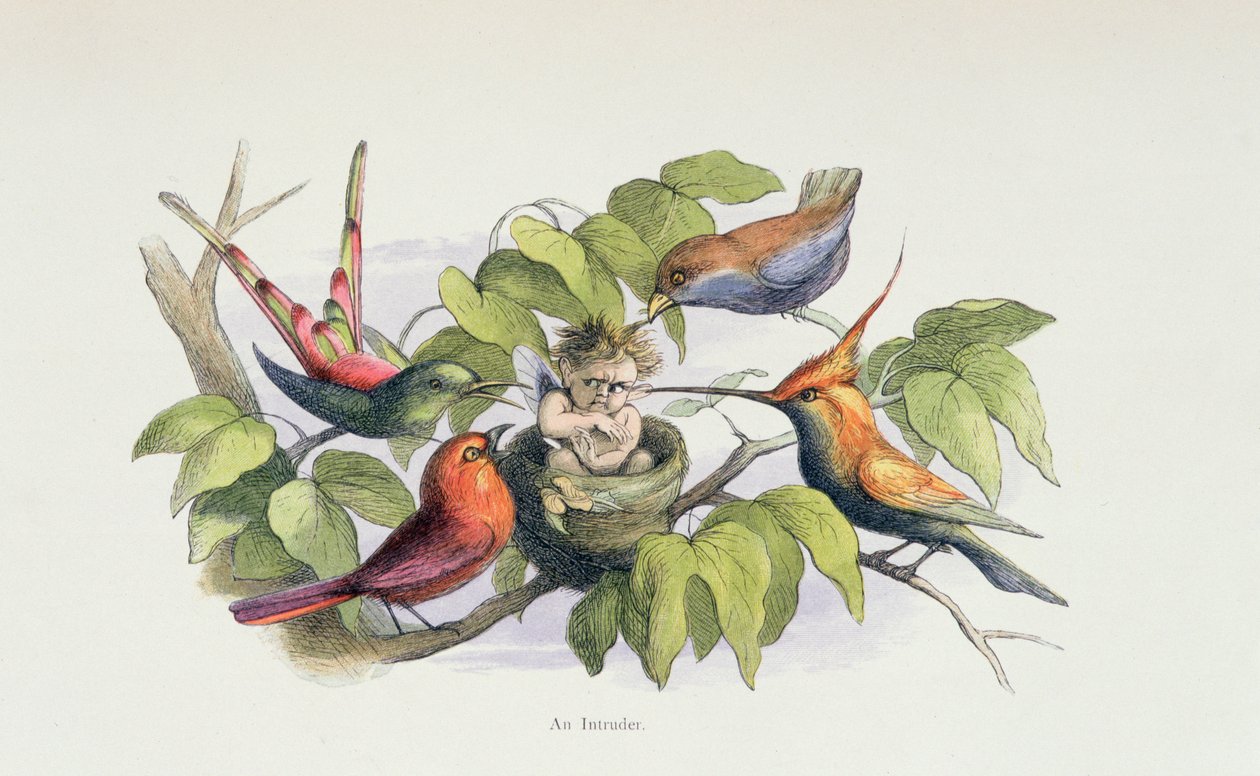 An Intruder, illustration från "In Fairyland: A Series of Pictures from the Elf-World" av William Allingham och Andrew Lang av Richard Doyle