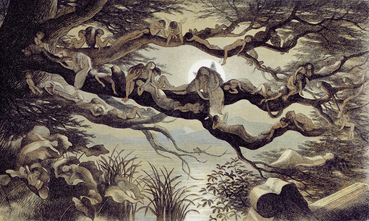Sov i månskenet av Richard Doyle
