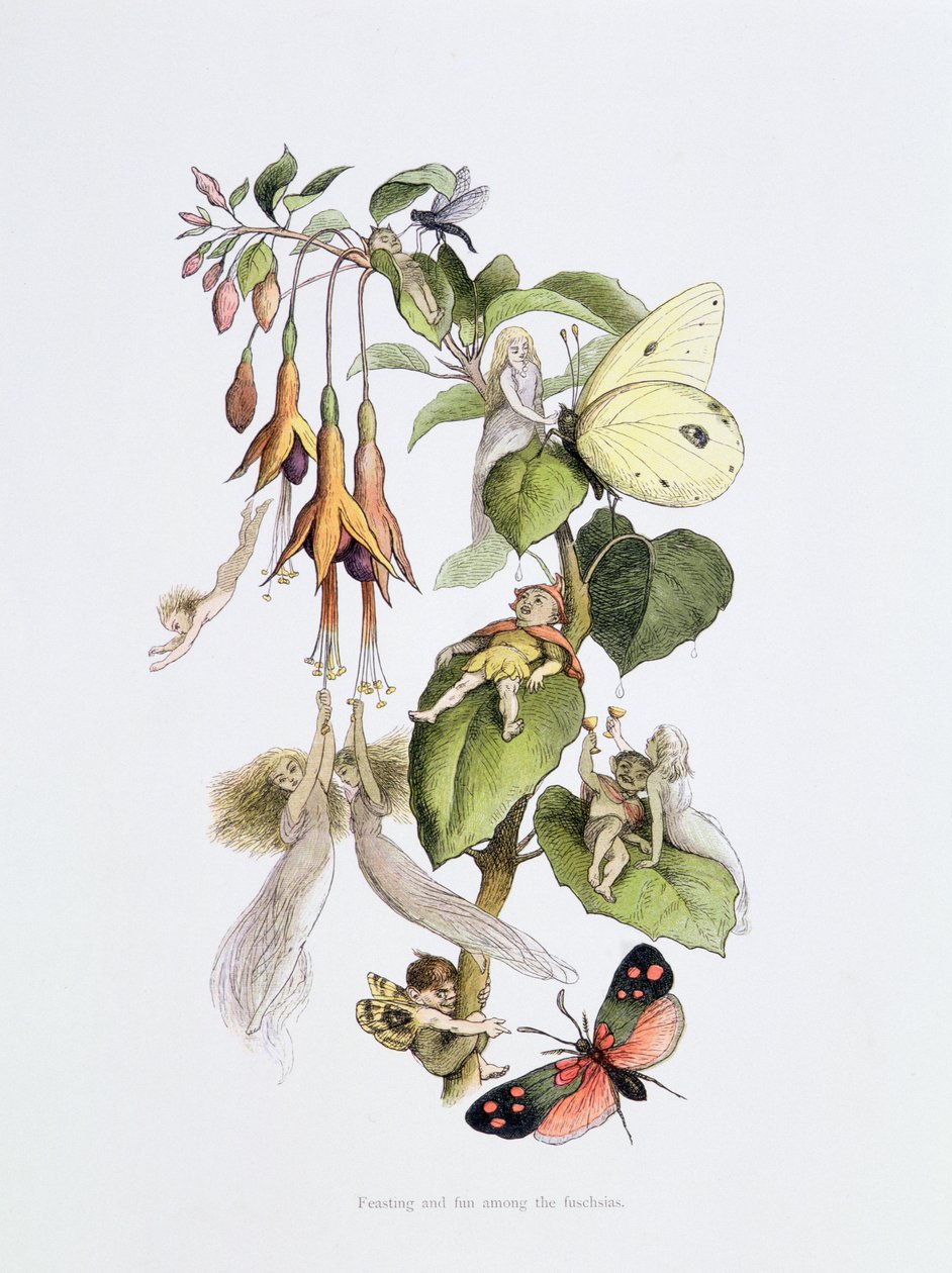 Fest och skoj bland fuschiorna, illustration från "In Fairyland": A Series of Pictures from the Elf-World" av William Allingham och Andrew Lang. av Richard Doyle