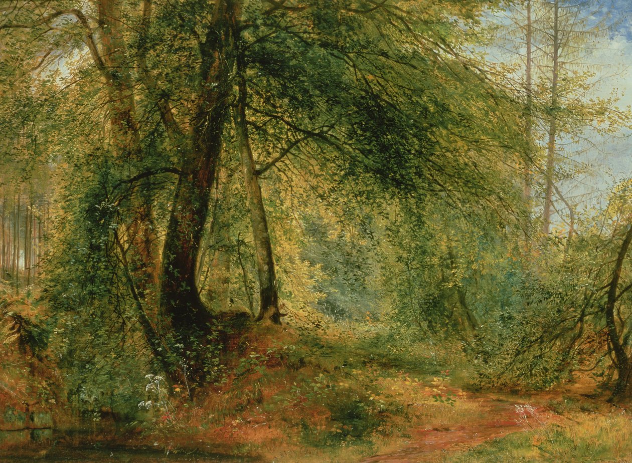 The Woodland Mirror, 1800-talet av Richard Redgrave