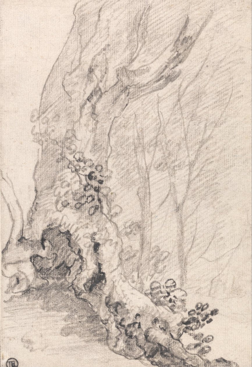 Study of an Old Tree- Trunk and Creeper-Covered Roots av Richard Wilson