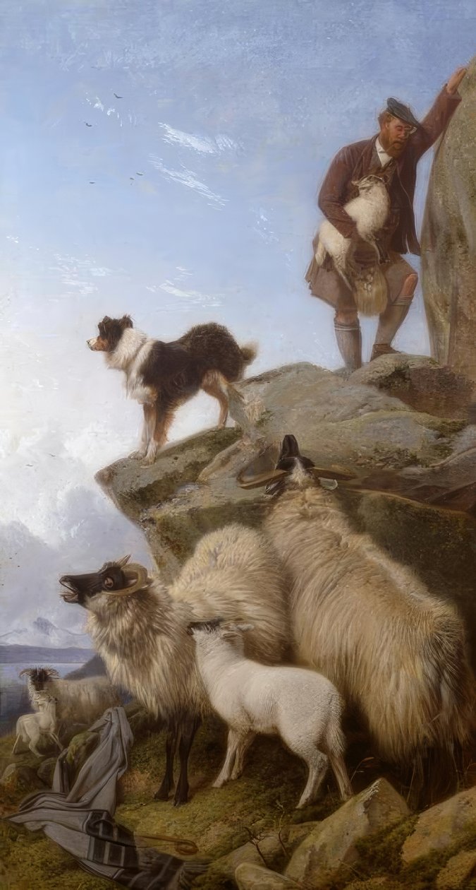 R.Ansdell, The Stray Sheep / målning, 1868 av Richard Ansdell