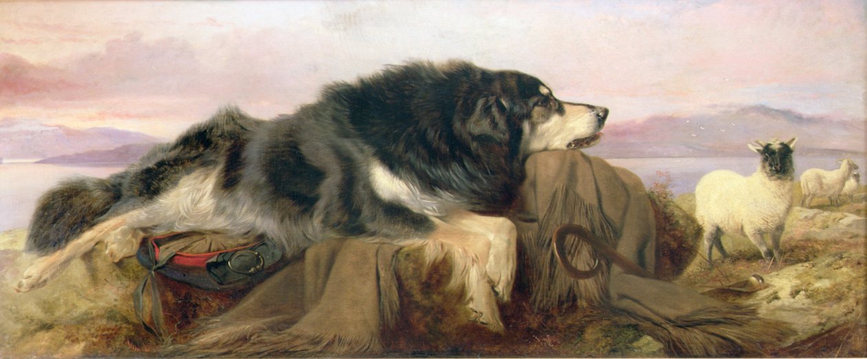 Herdens hund av Richard Ansdell