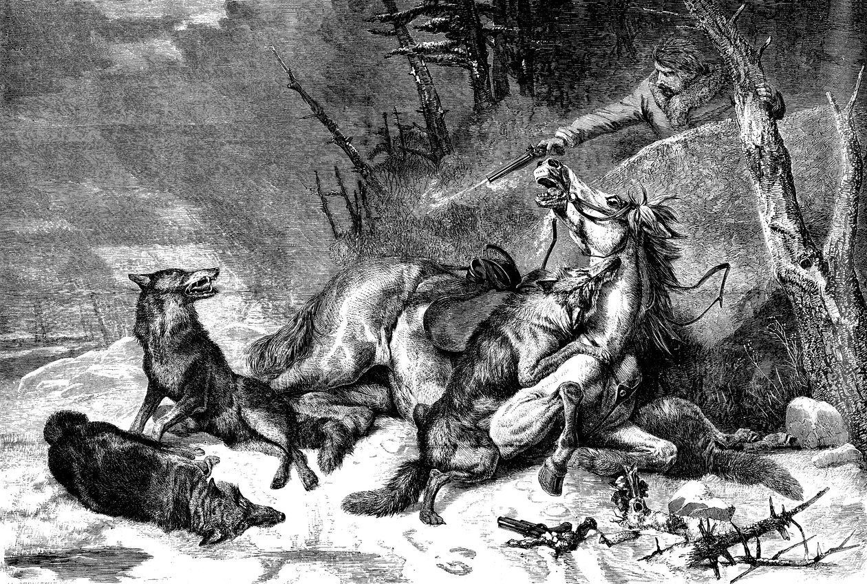 Resenär till häst attackerad av en flock vargar av Richard Ansdell