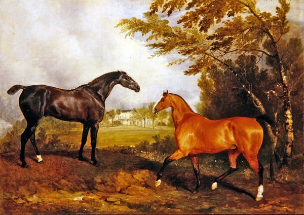 Ridsportscen (olja på duk) av Richard Barrett Davis