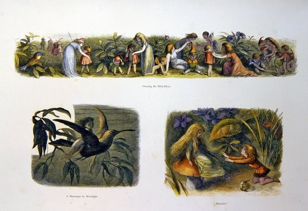 I Fairy Land av Richard Doyle