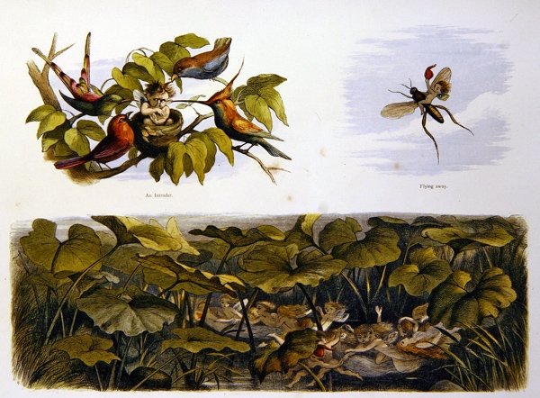 I Fairy Land av Richard Doyle