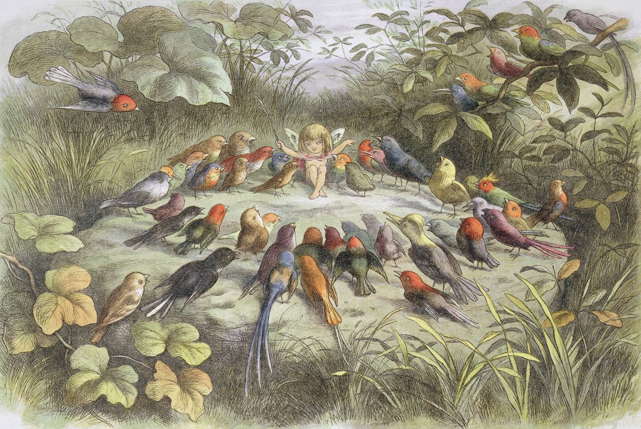 Musikrepetition i fairy land (illustration från "In fairy land. Pictures from the fairy world", av William Allingham och Andrew Lang av Richard Doyle