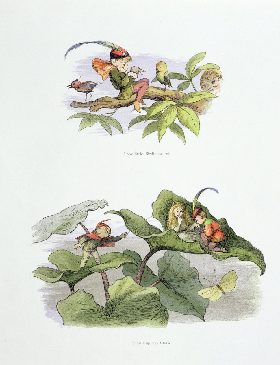 Stackars lilla Birdie retade, och uppvaktningen förkortades, illustrationer från "In Fairyland: A Series of Pictures from the Elf-World" av William Allingham och Andrew Lang av Richard Doyle