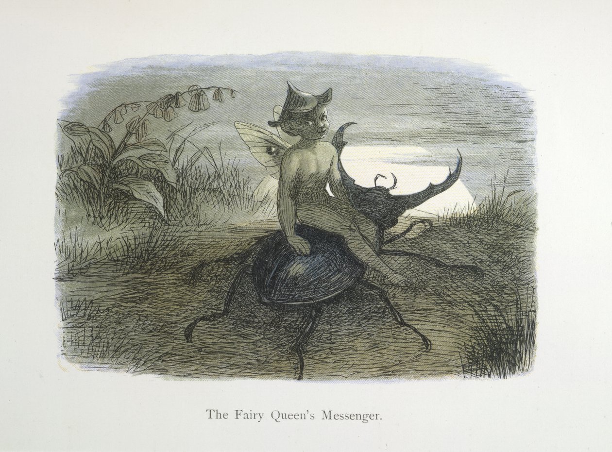 Fairy Queens budbärare av Richard Doyle