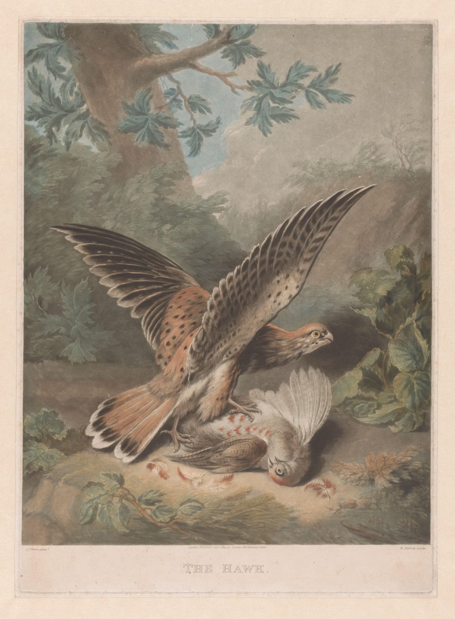 Hawk vaktar sitt byte The Hawk (titel på objekt) av Richard Earlom