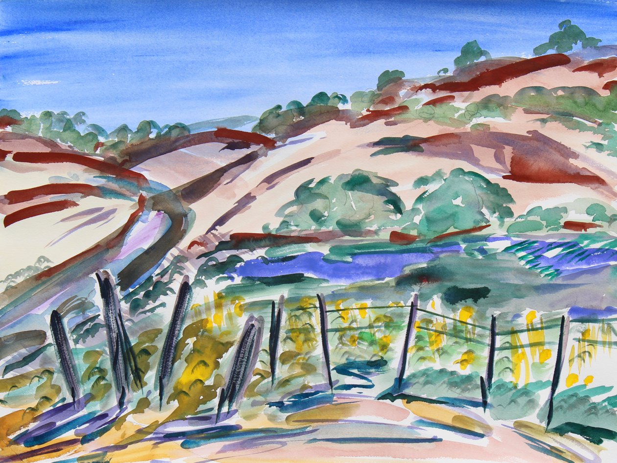 Dry Hills, norra Kalifornien, 2021 (akvarell på papper) av Richard Fox