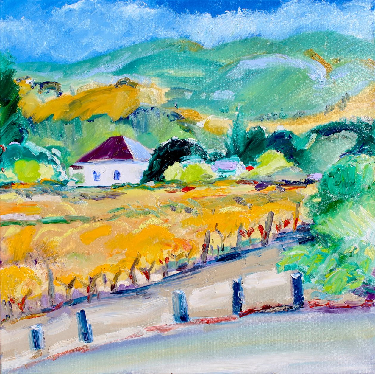 Vingård i höst, Napa, 2020 av Richard Fox
