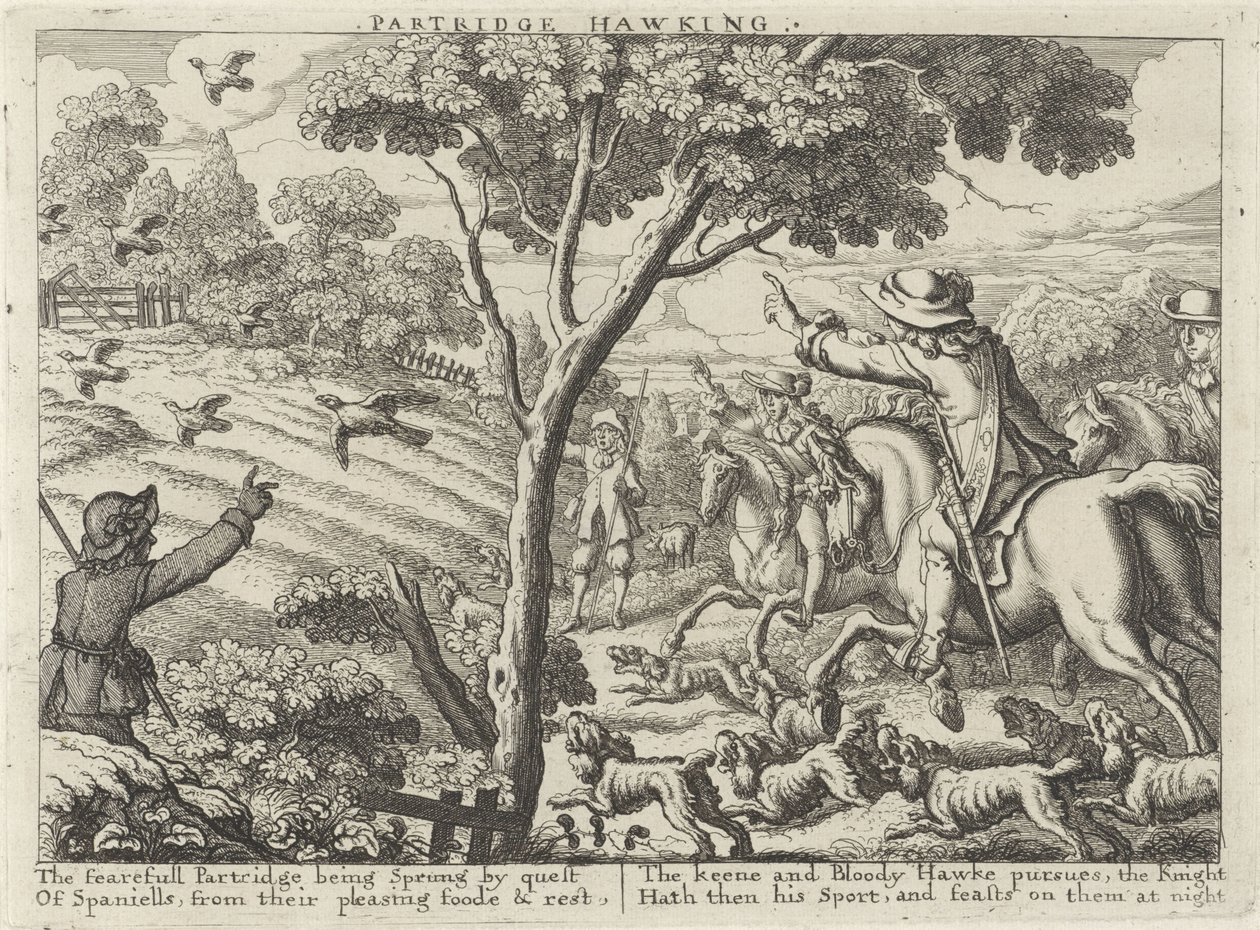 Jacht op patrijsvogels Partridge Hawking (titel på objekt) Jachtpartijen (serietitel) Flera sätt att jakt, hawking och fiske, enligt engelskt sätt (serietitel) av Richard Gaywood (possibly)
