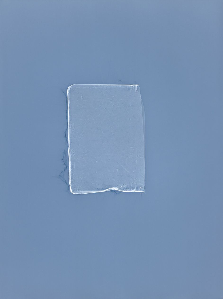 Utan titel, 2001 av Richard Green