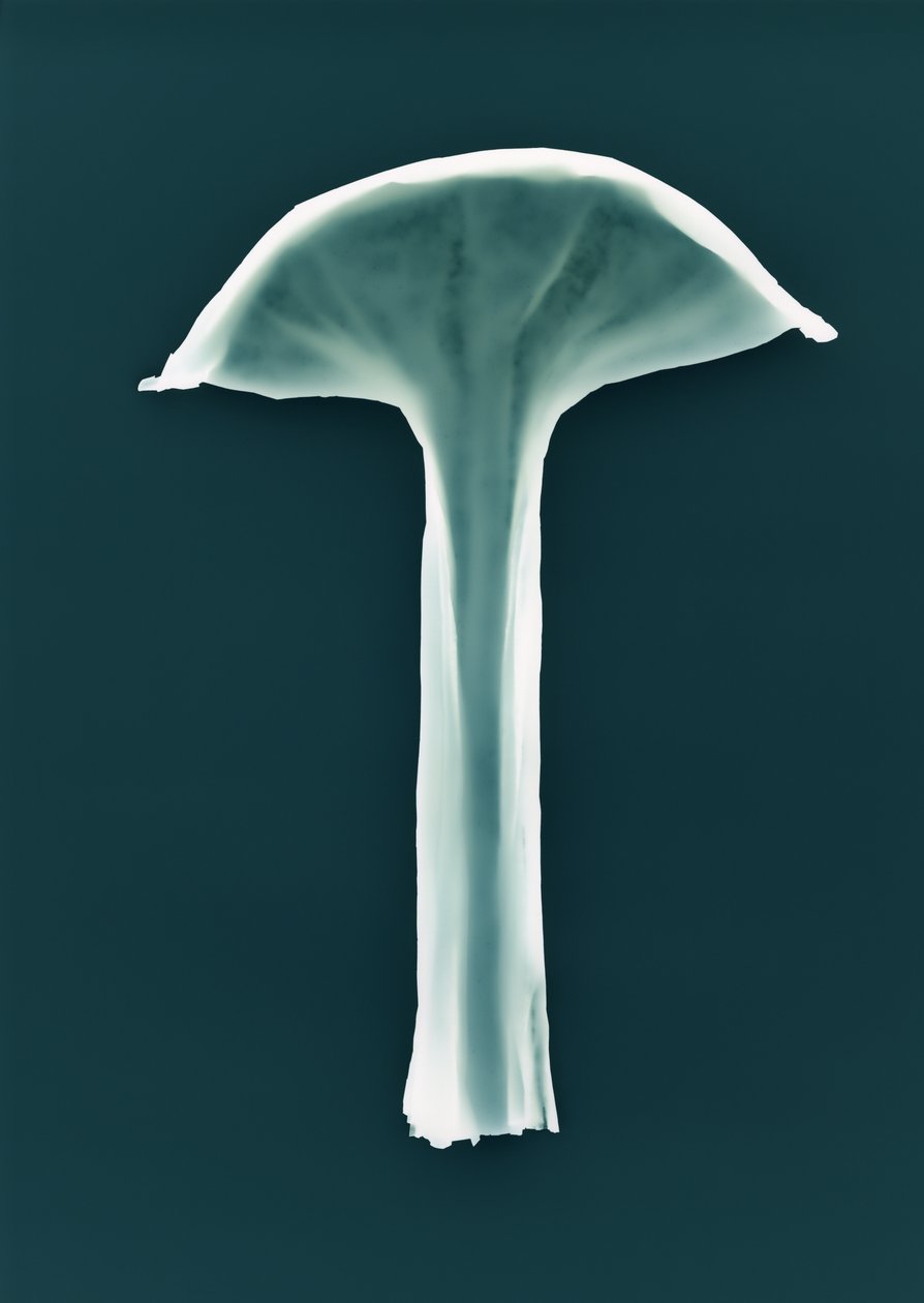 Utan titel, 2003 av Richard Green