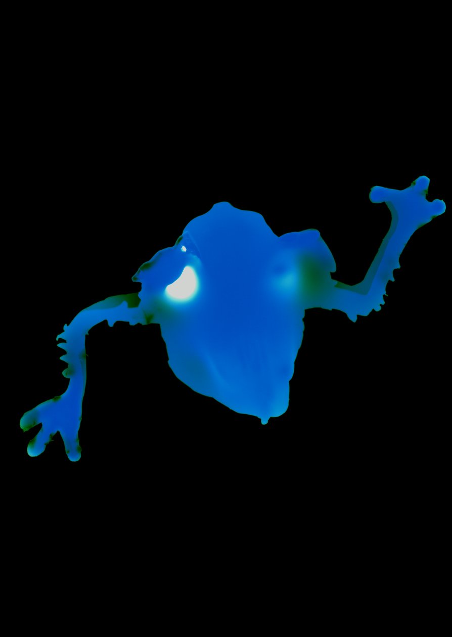 Utan titel, 2004 av Richard Green