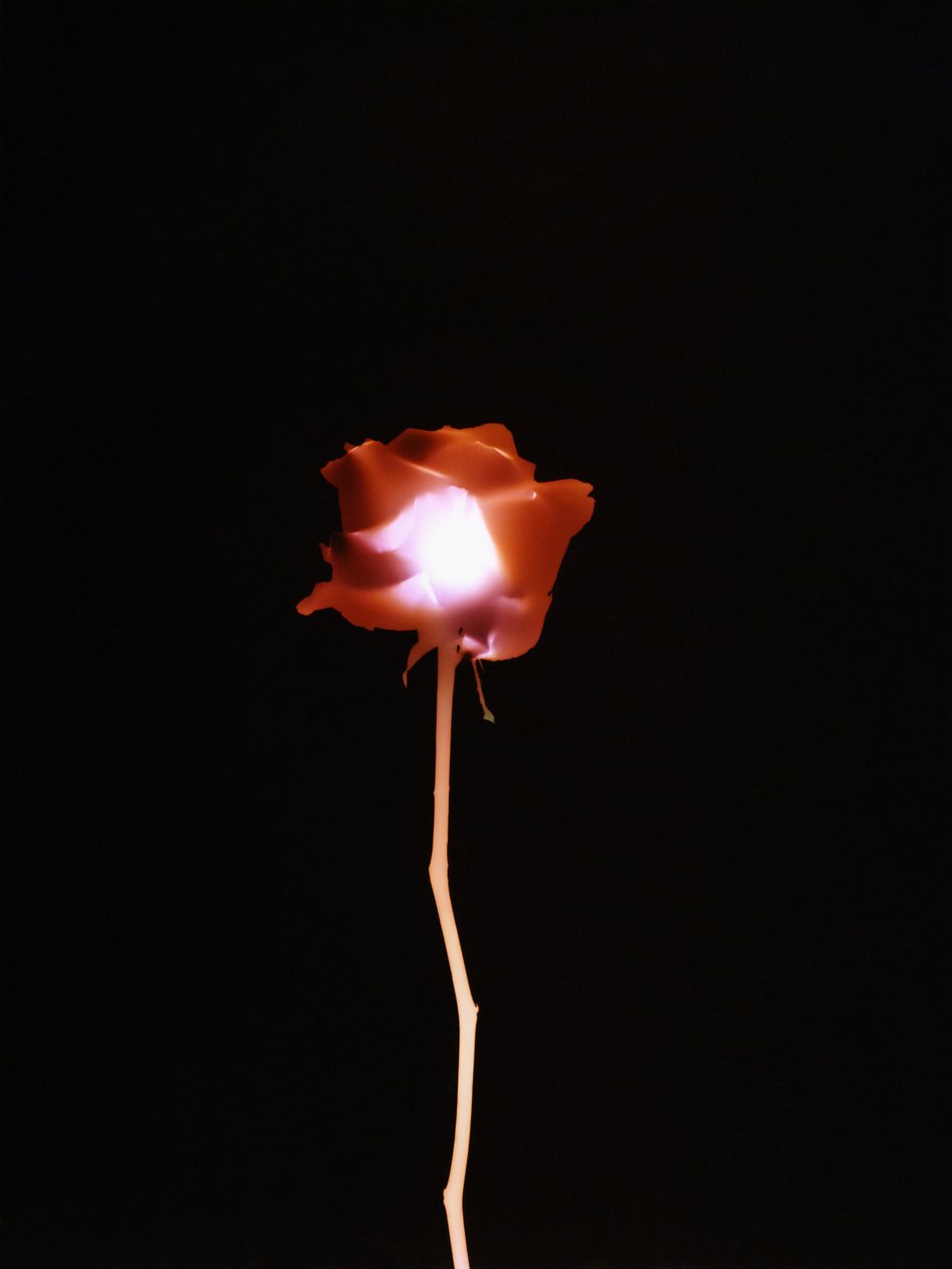 Utan titel, 2007 av Richard Green
