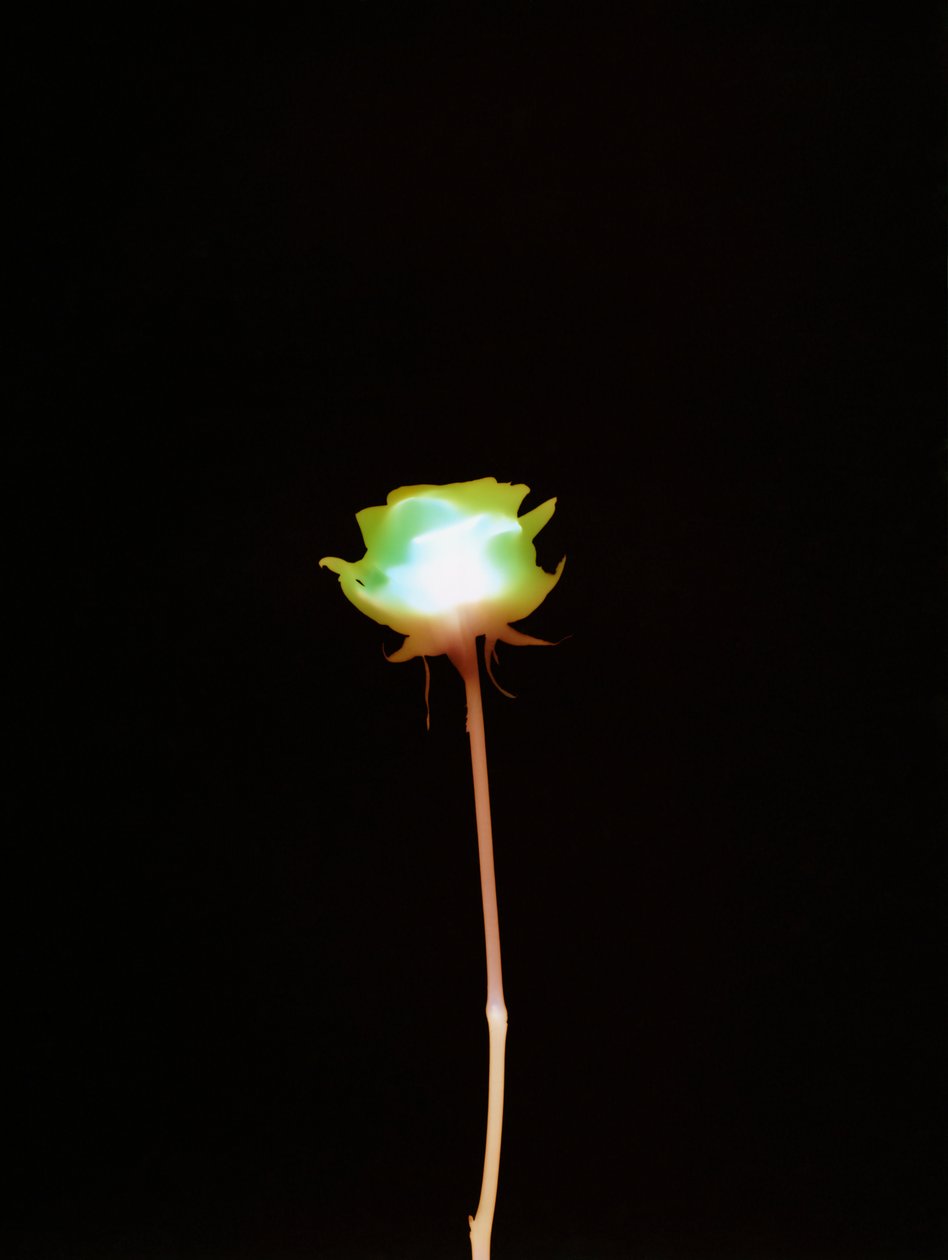 Utan titel, 2007 av Richard Green