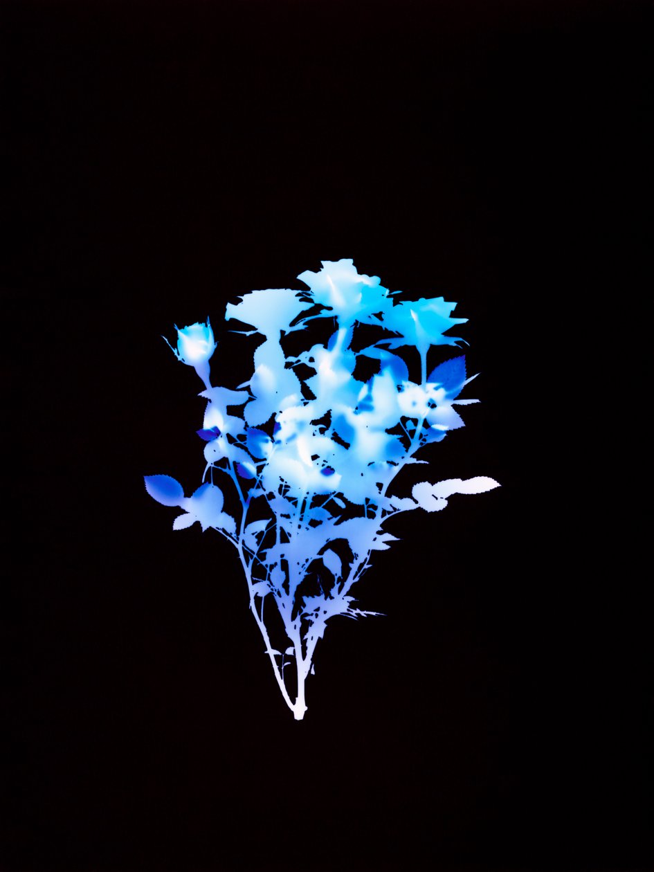 Utan titel, 2008 av Richard Green