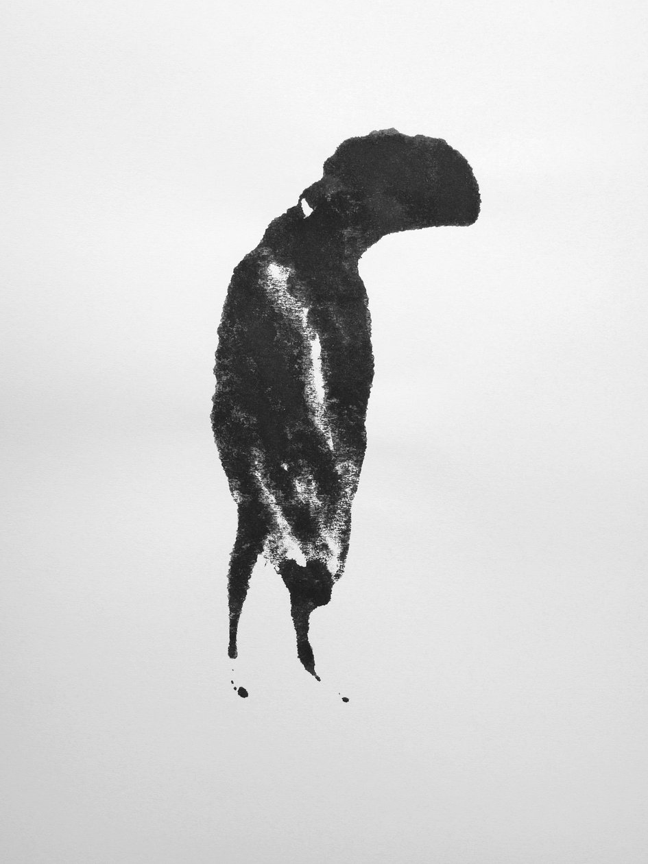 Utan titel, 2009 (monotypi) av Richard Green