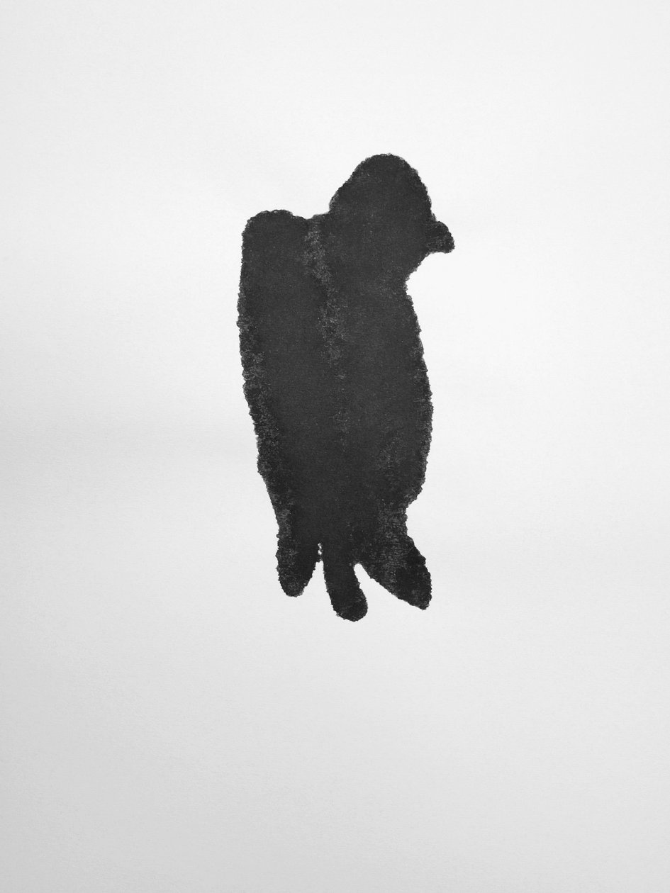 Utan titel, 2009 (monotypi) av Richard Green