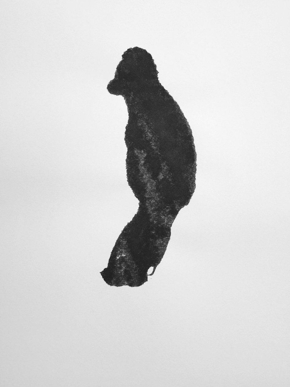 Utan titel, 2009 (monotypi) av Richard Green