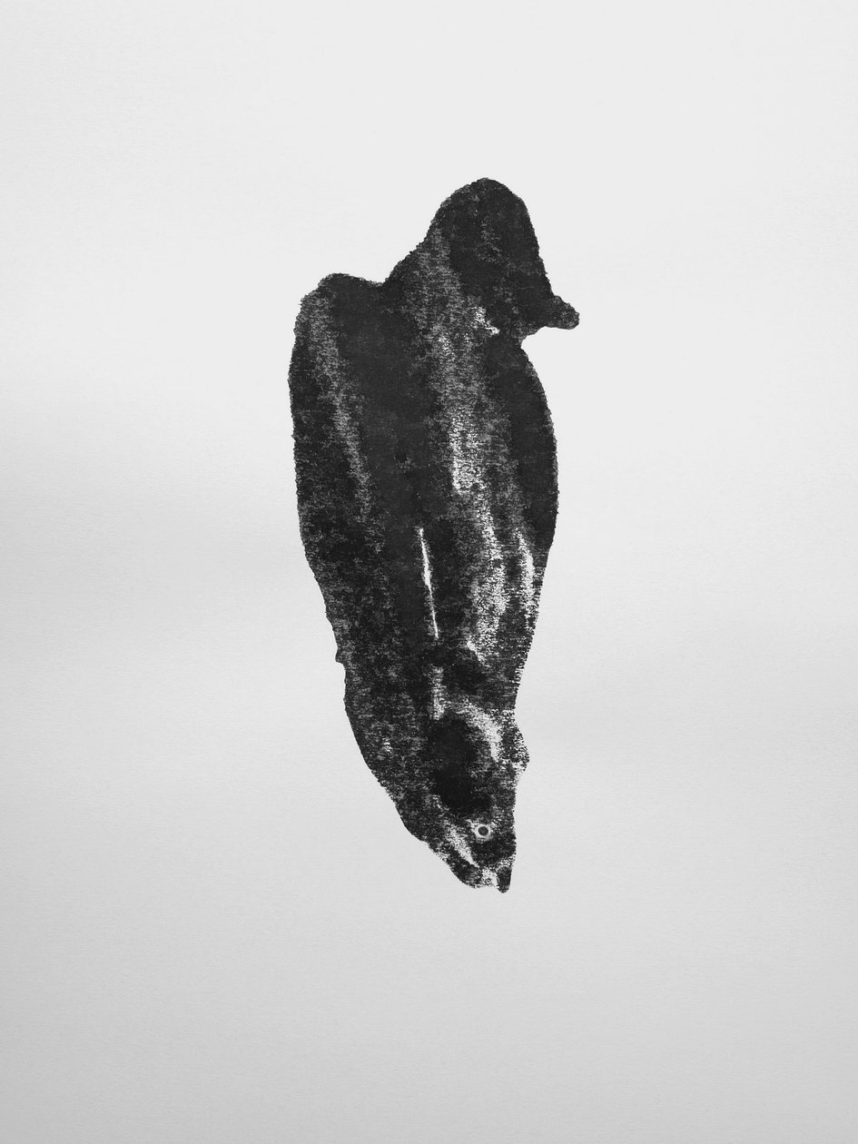 Utan titel, 2009 (monotypi) av Richard Green