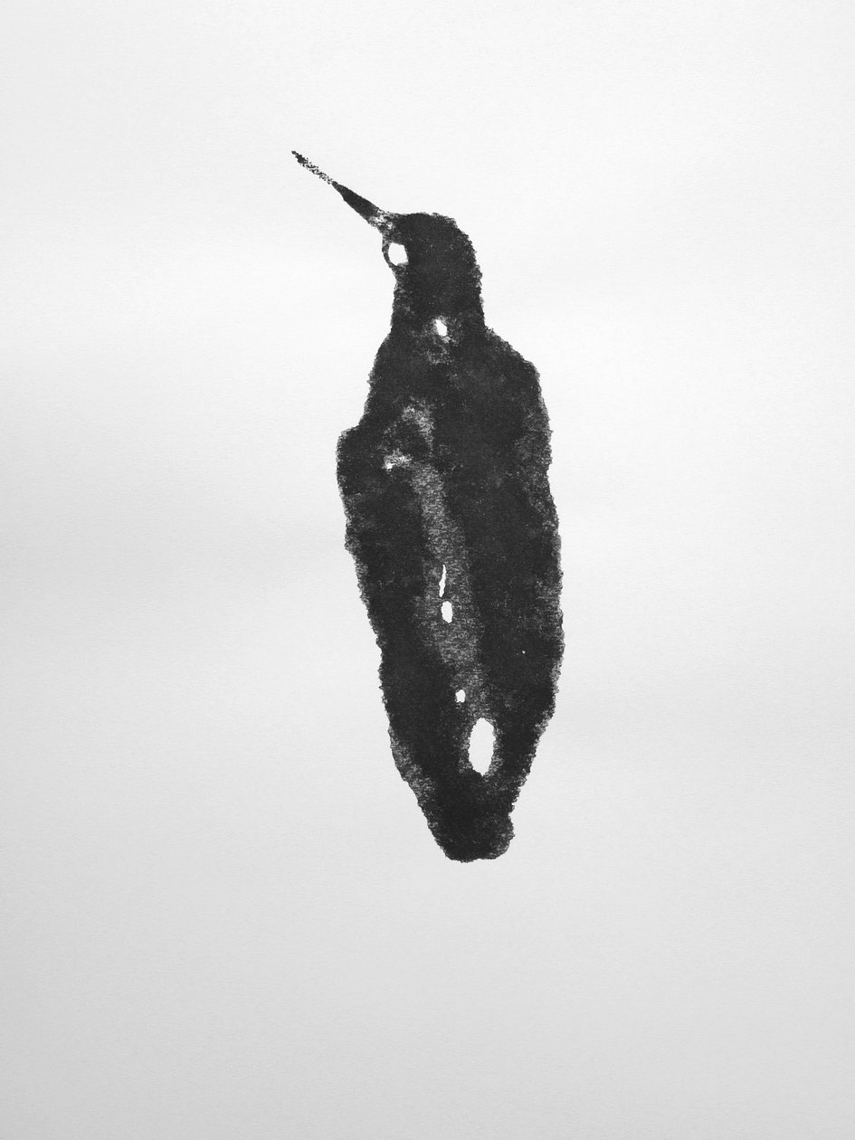 Utan titel, 2009 (monotypi) av Richard Green