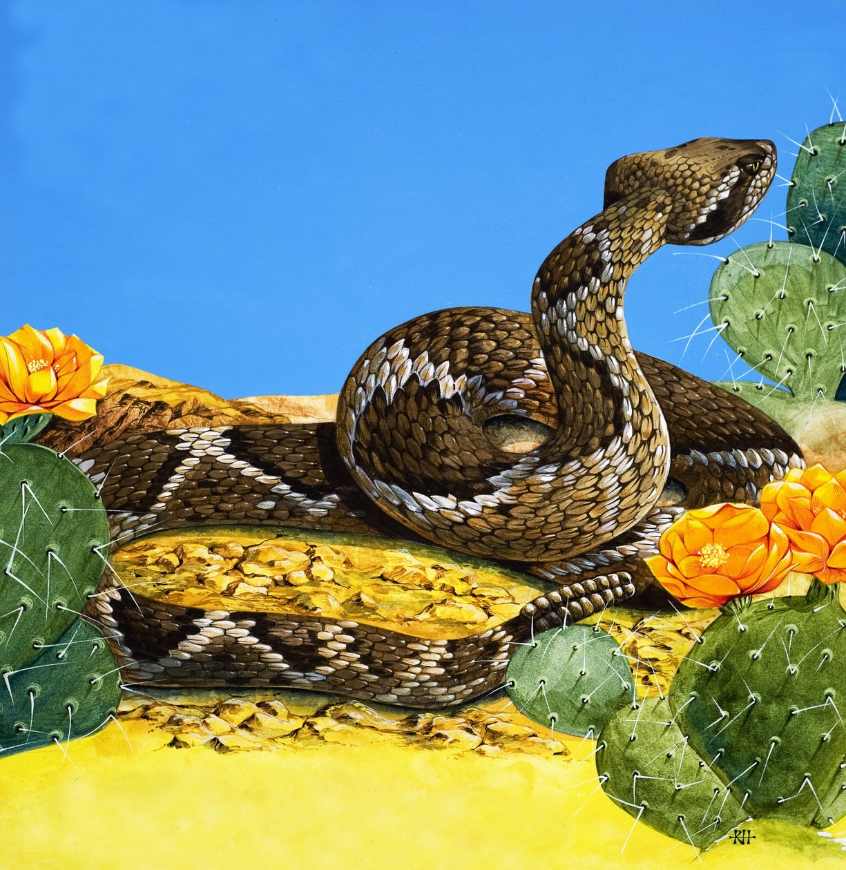 Skallerormens varning, ur "Once Upon a Time" (gouache på papper) av Richard Hook