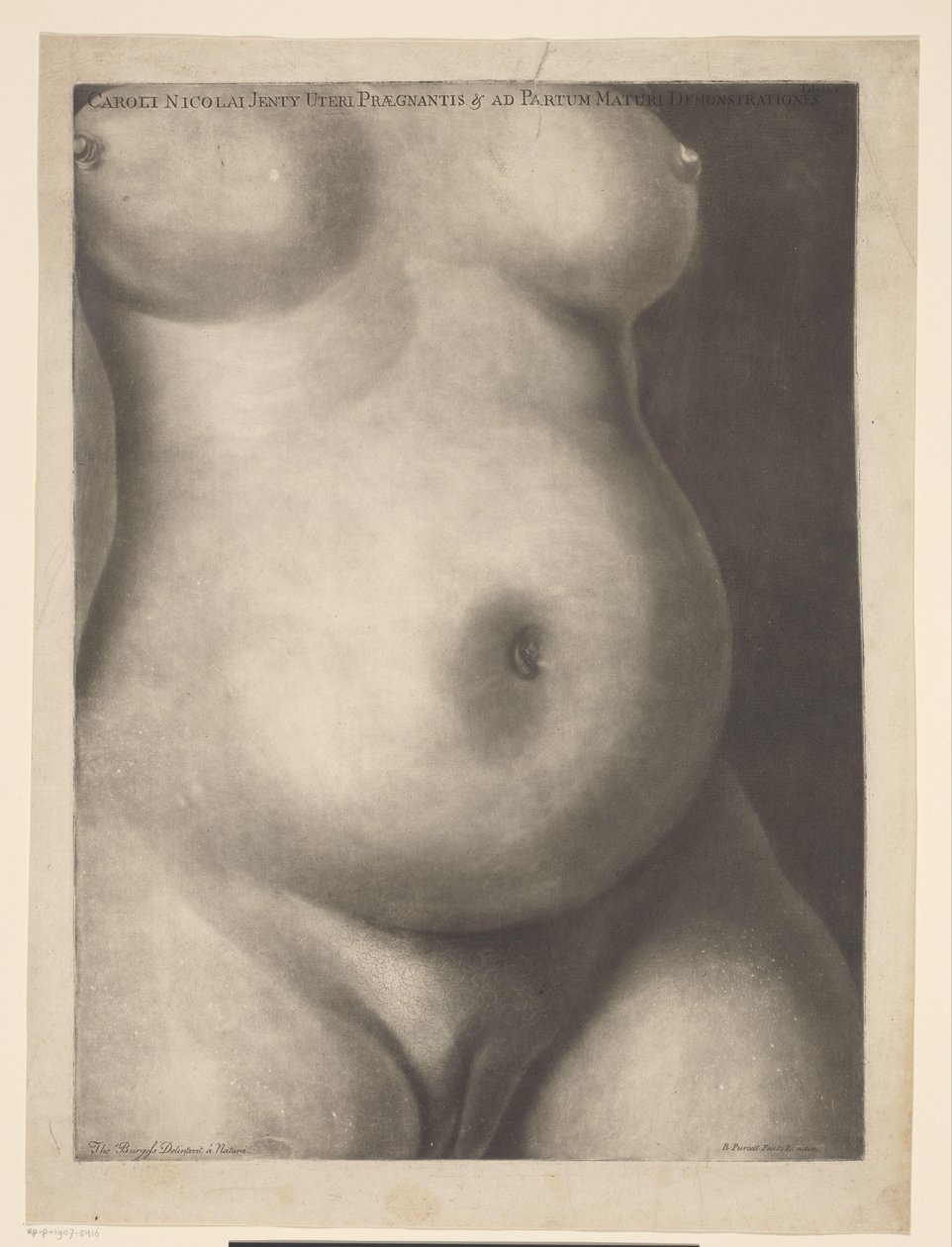 Torso av en gravid kvinna Sex anatomiska utskrifter av en graviditet (serietitel) Demonstrationer av en gravid livmoder hos en kvinna på heltid (...) (serietitel) Caroli Nicolai Jenty Uteri Praegnantis & ad Partum Maturi Demonstrationes (serien av Richard Purcell