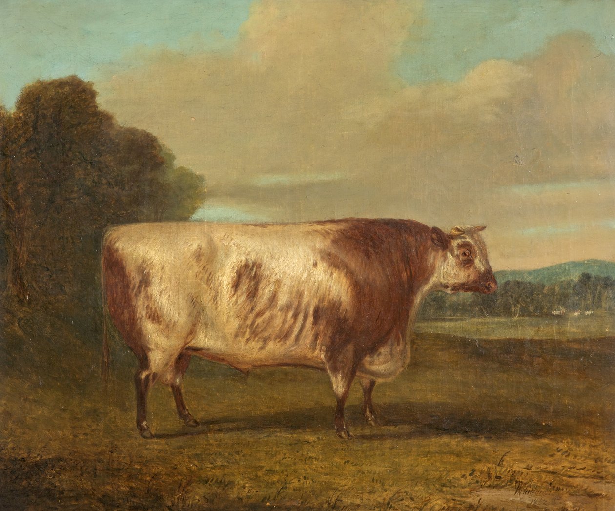En tjur, 1862 av Richard Whitford